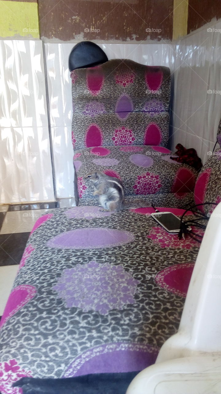 agadir good animaux maroc yasalam πππππππππππππππ yasalam my love sinjab hhhhhhhhh a