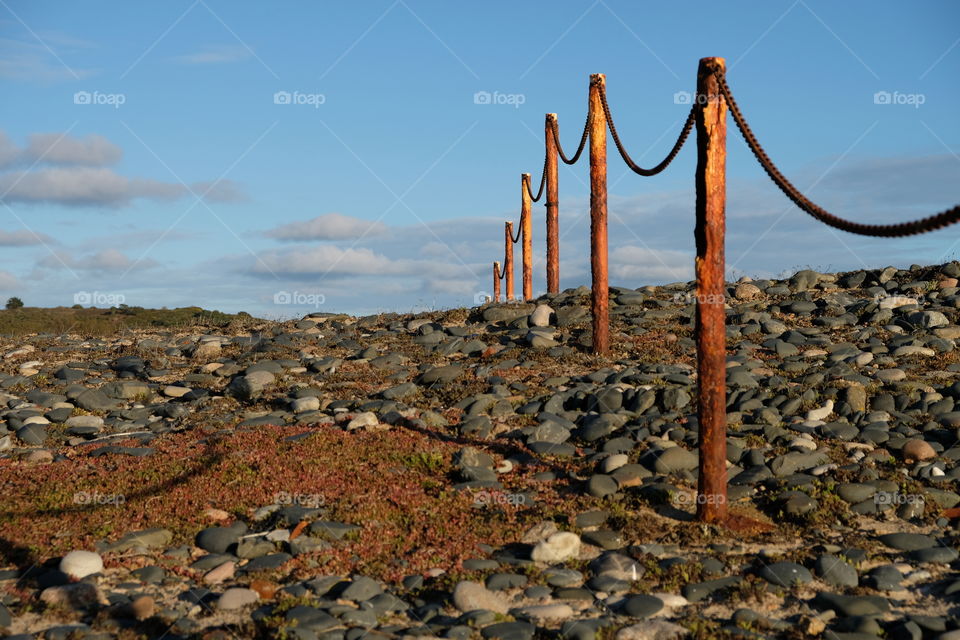 Chain Link Fence, Jersey.