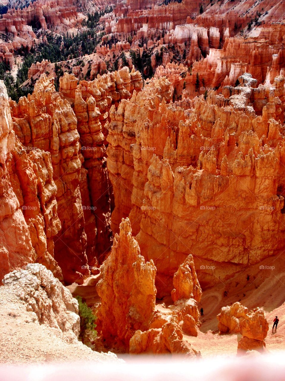Bryce canyon national park
