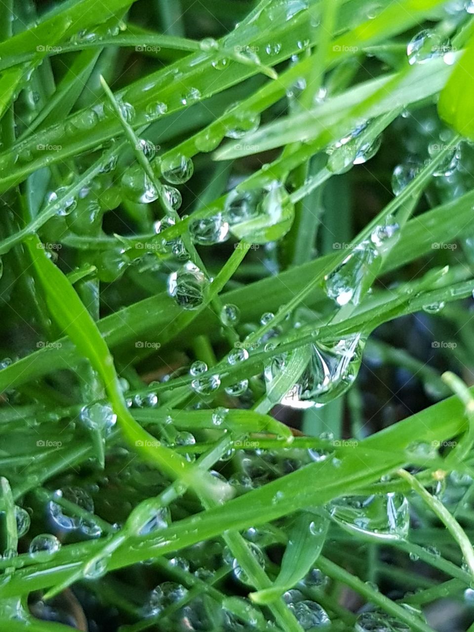 Close up drops of water