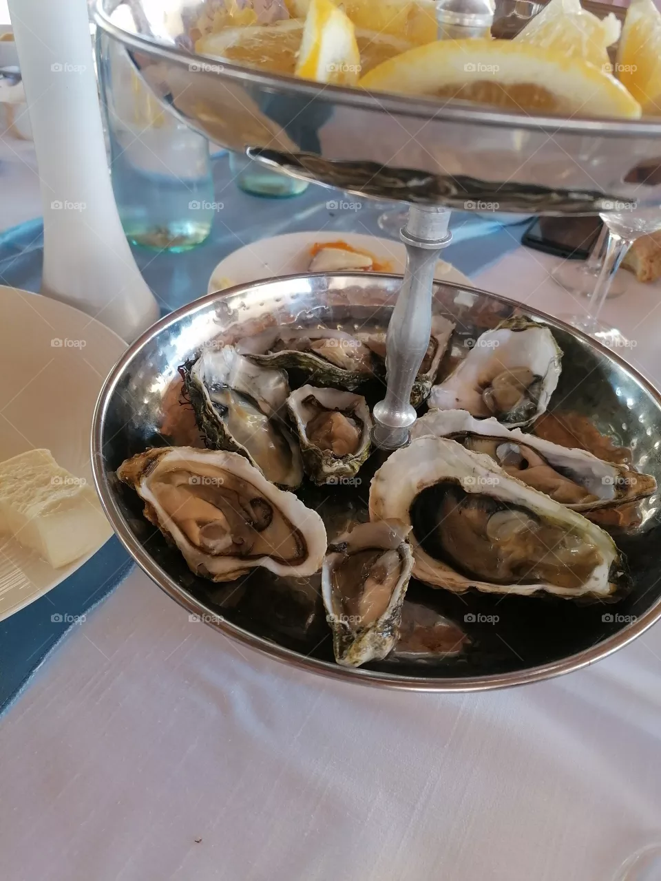 ostriche