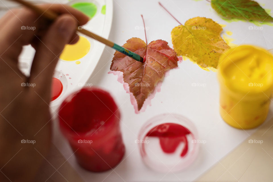 Close-up of painting autumn leaf