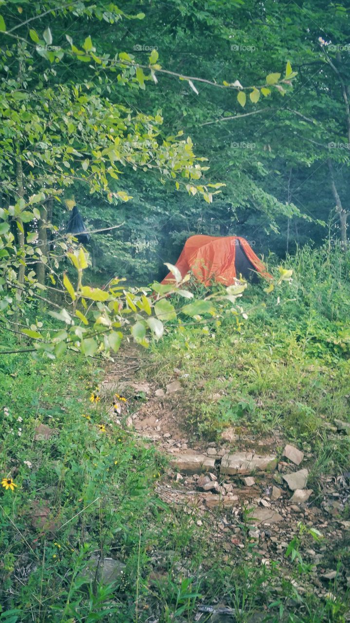 Wilderness tent camping.