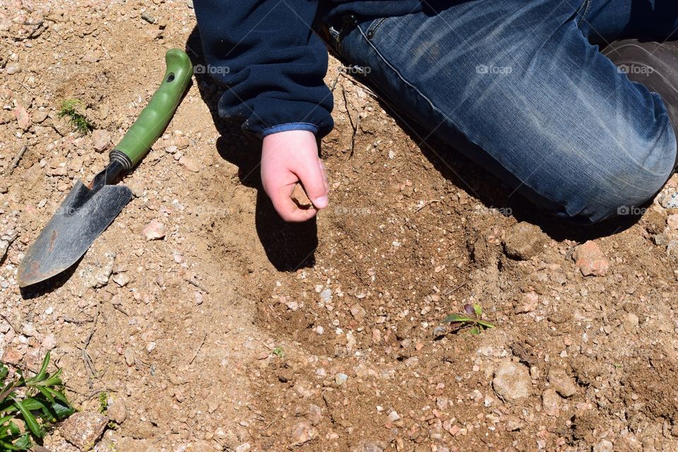 Digging for Treasures