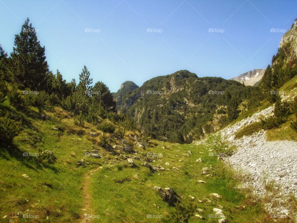 hiking trail landscape