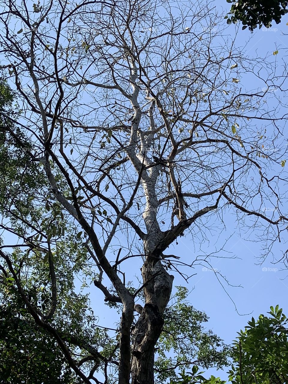 Best of 2021 : Nature ( Countryside, Thailand)