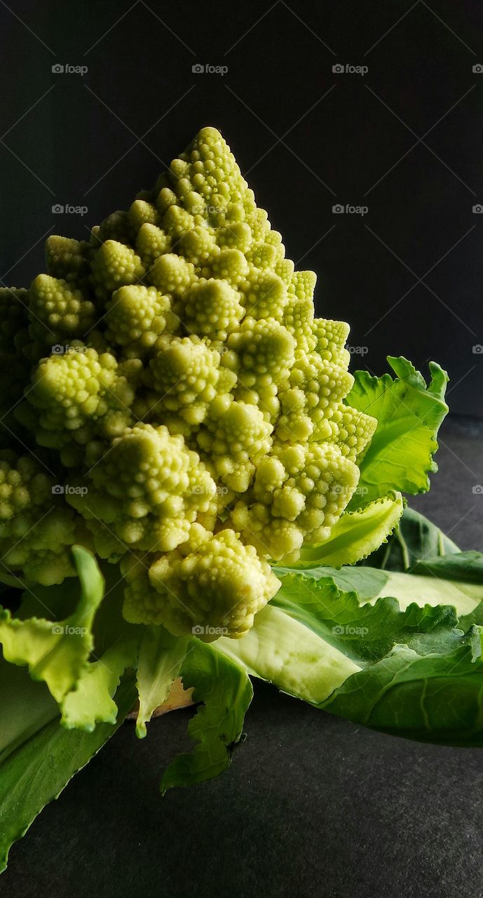 Studio shot of baby cauliflower