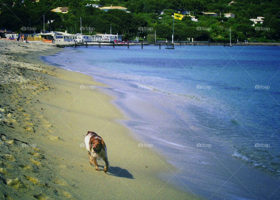 Beach sea. Ocean