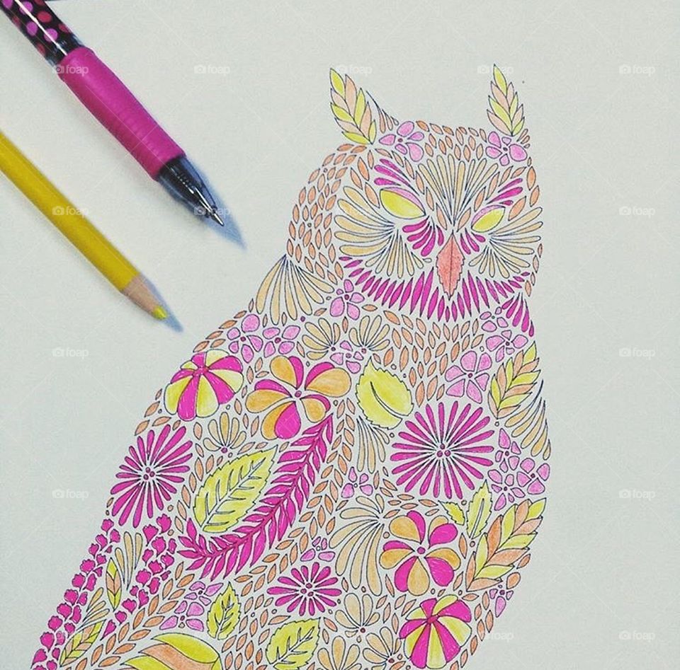 Coloring book owl