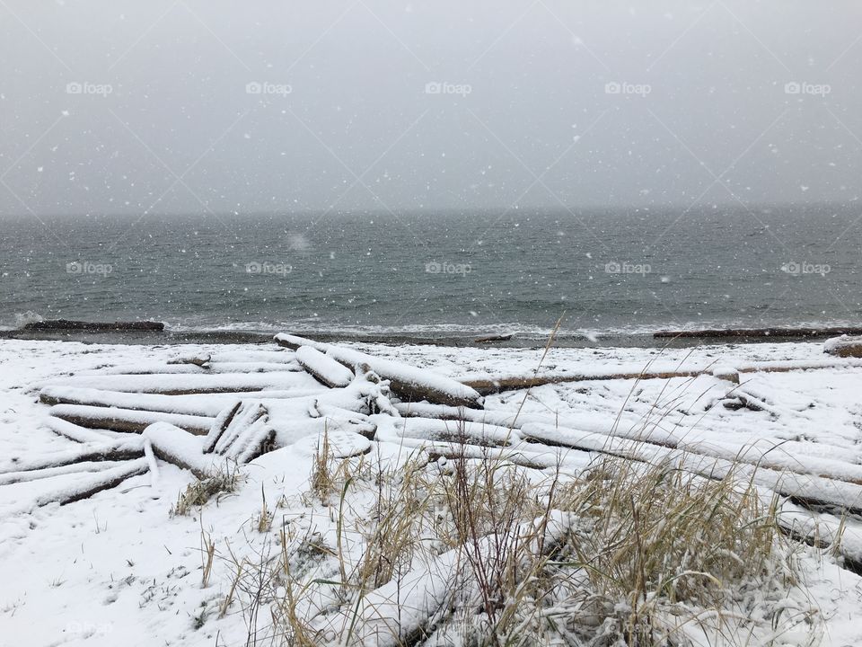 Snowy beach 