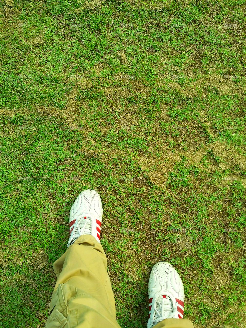 To stand out on the green grass soft and refreshing.