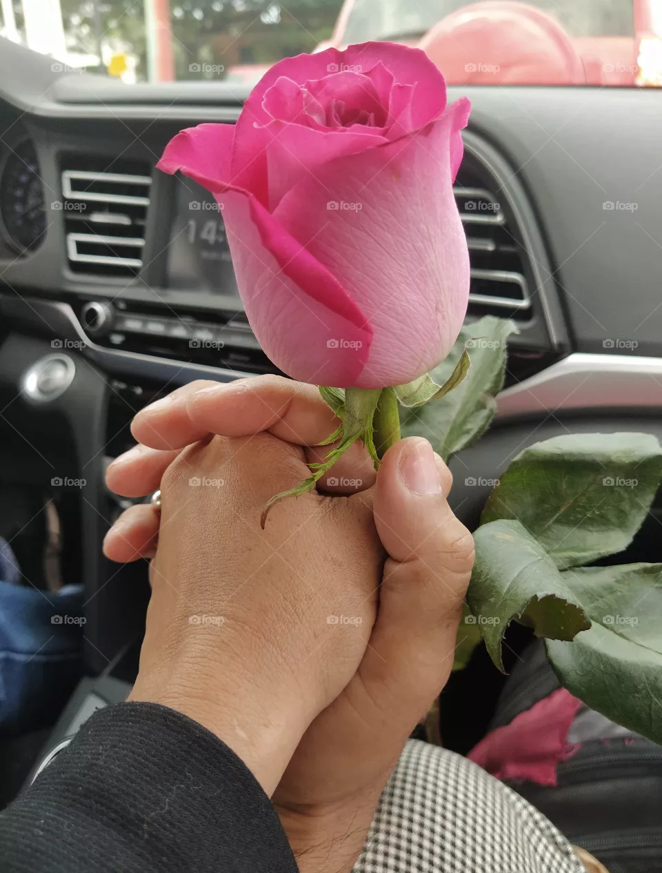 Rose pink Love is in the air