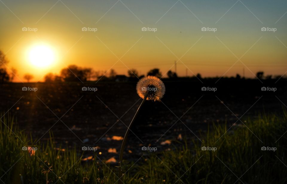 Sunset, Dawn, Landscape, Sun, Evening