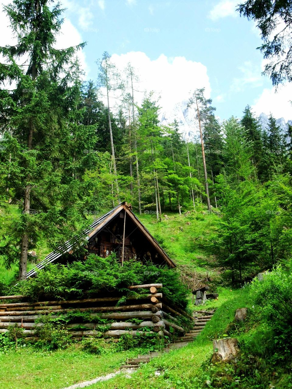 Wooden mountain hut with wooden fence surrounded by vivid green evergreen forest