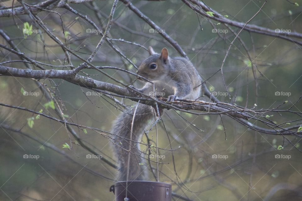 Watching for opportunity