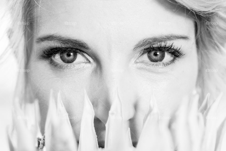 Beautiful eyes. Black and white close up image of woman's eyes with king protea in foreground.