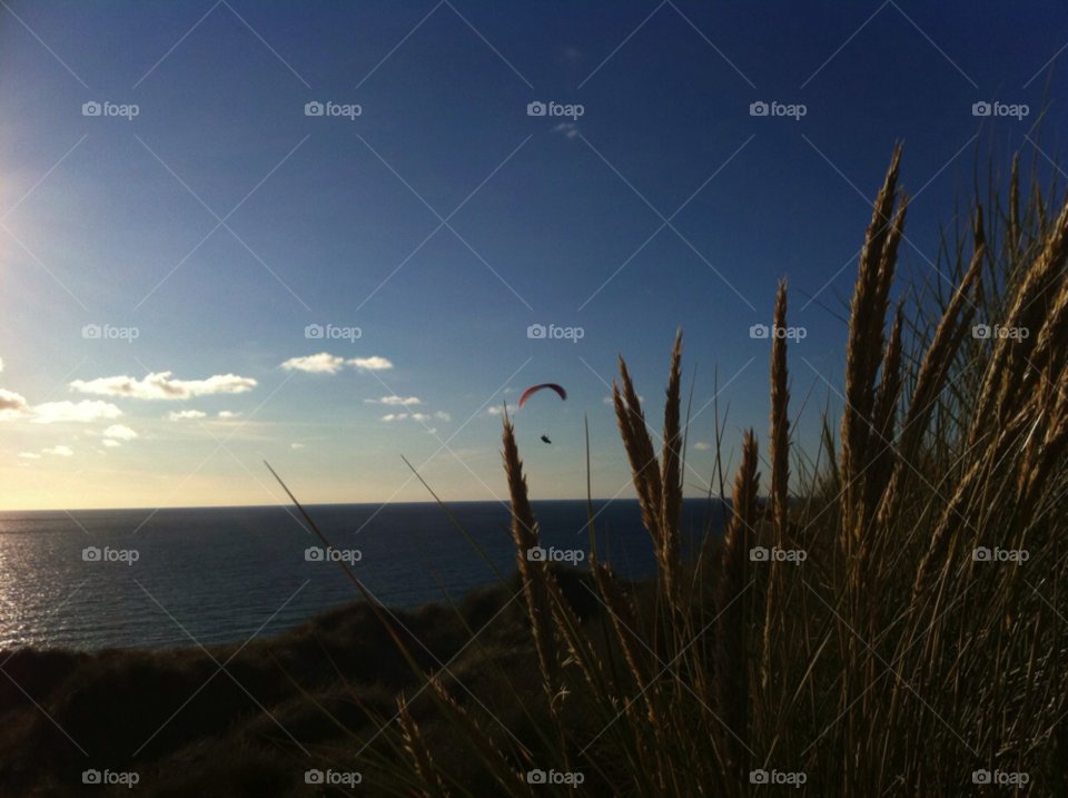 beach grass sand sea by karlbinder