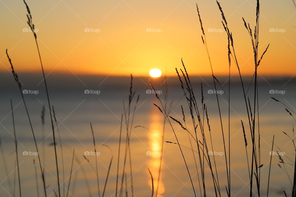 Sunset on the ocean 