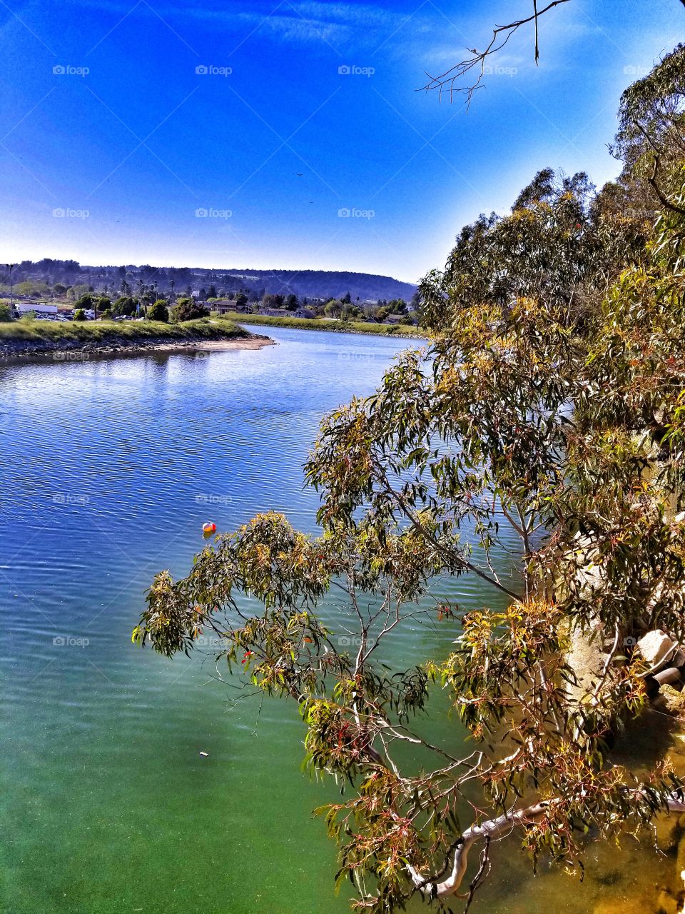 Where the River Meets the Ocean