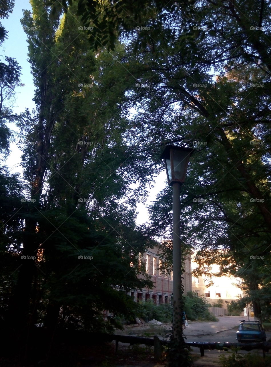 фонарь дерево старый дом