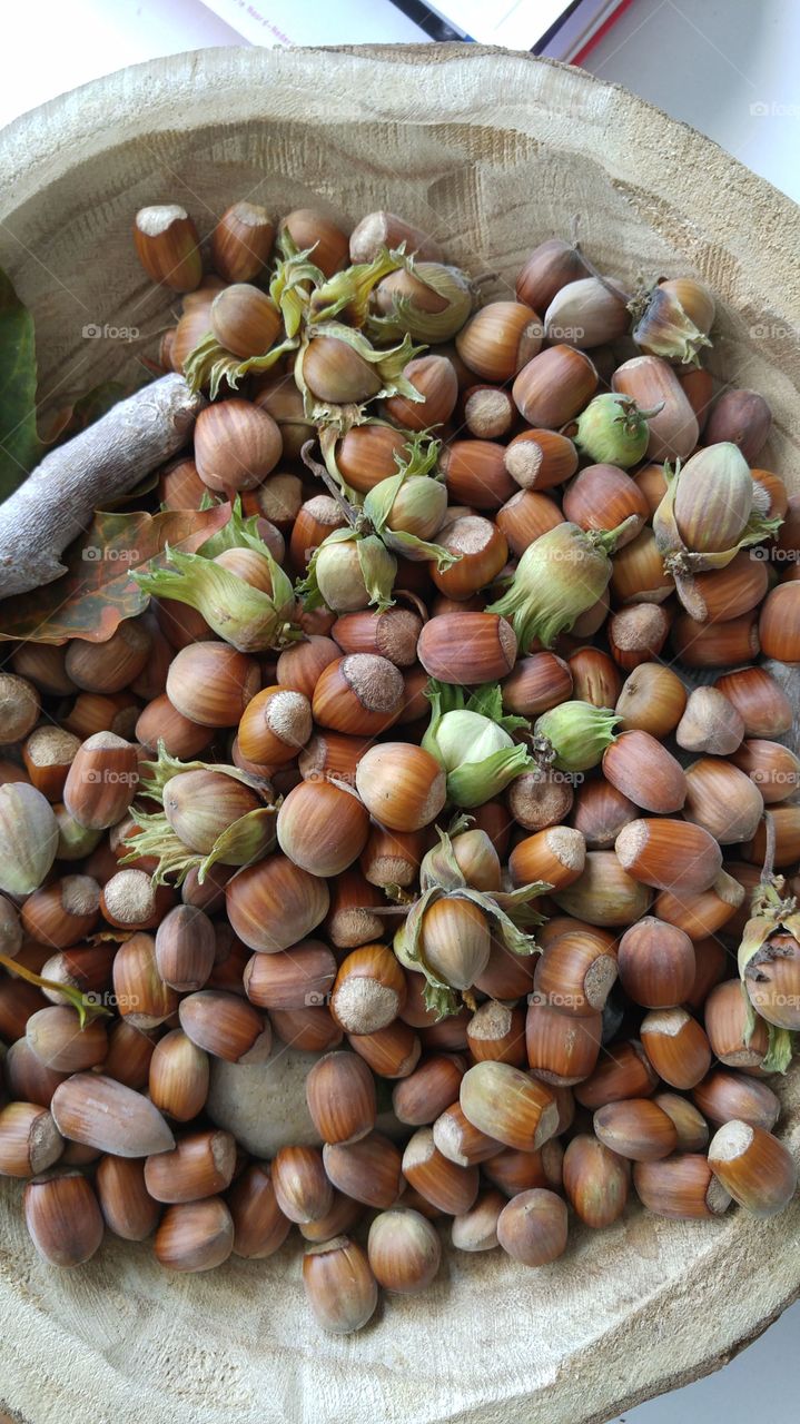 A lot of hazel nuts in a bowl