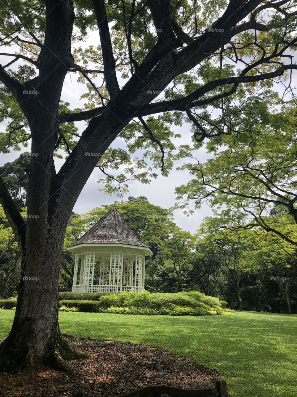 Beautiful white hut at the garden surrounded by trees 