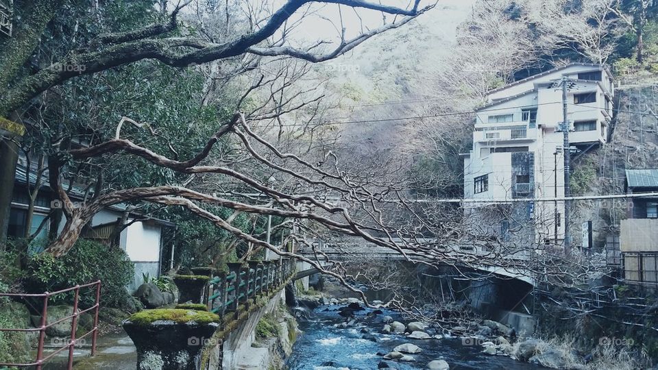 River bridge Japan
