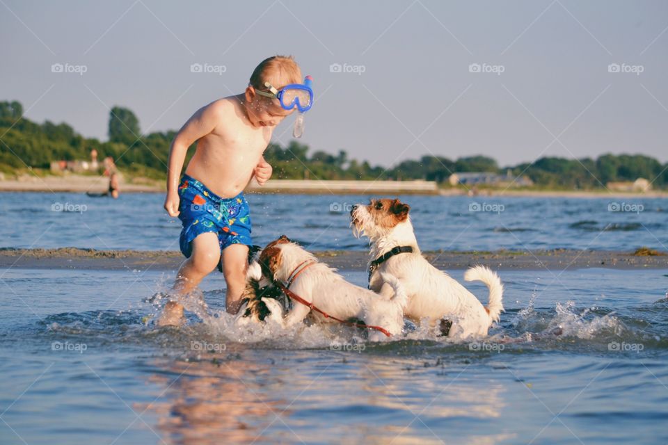 Boy playing with dogs on a beach