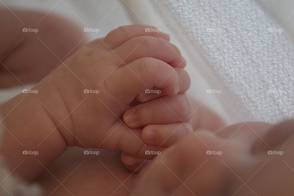 Baby holding a hand