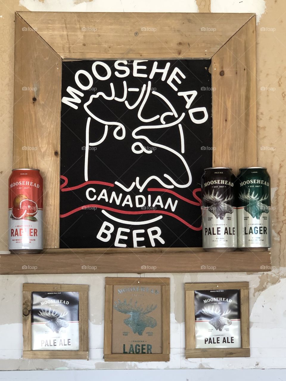 MOOSE CANADIAN BEER