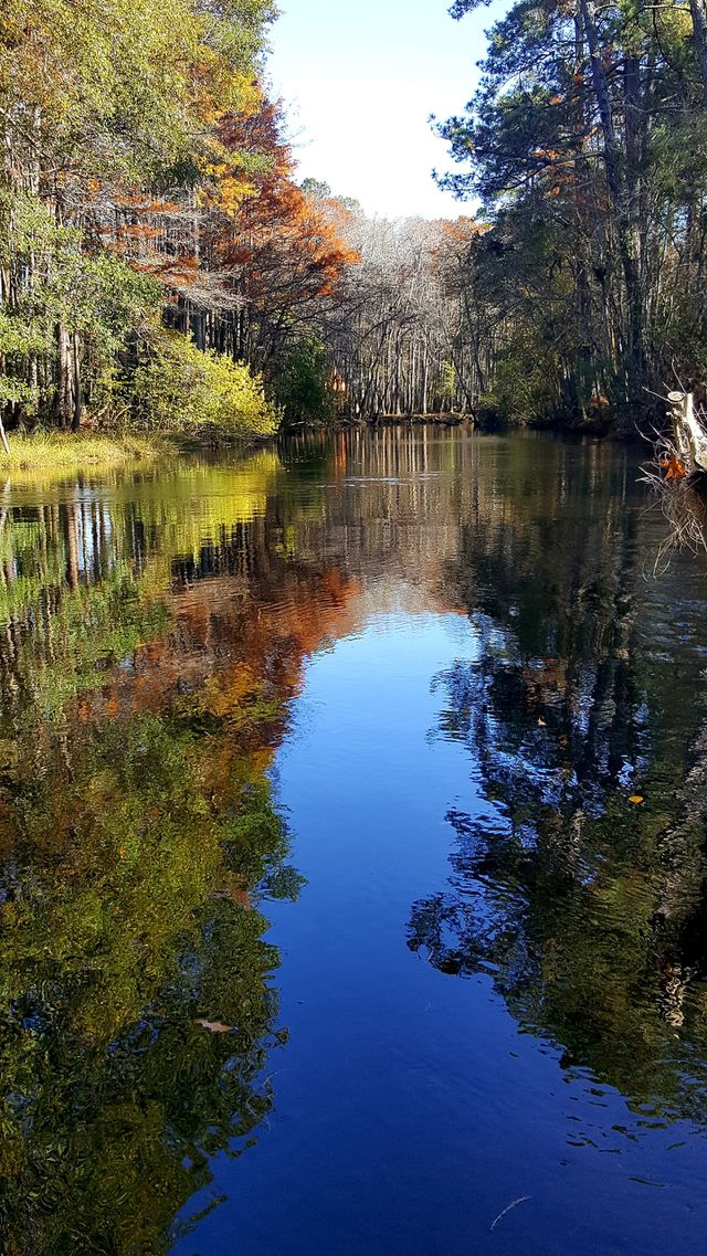 Lumber River State Park, NC