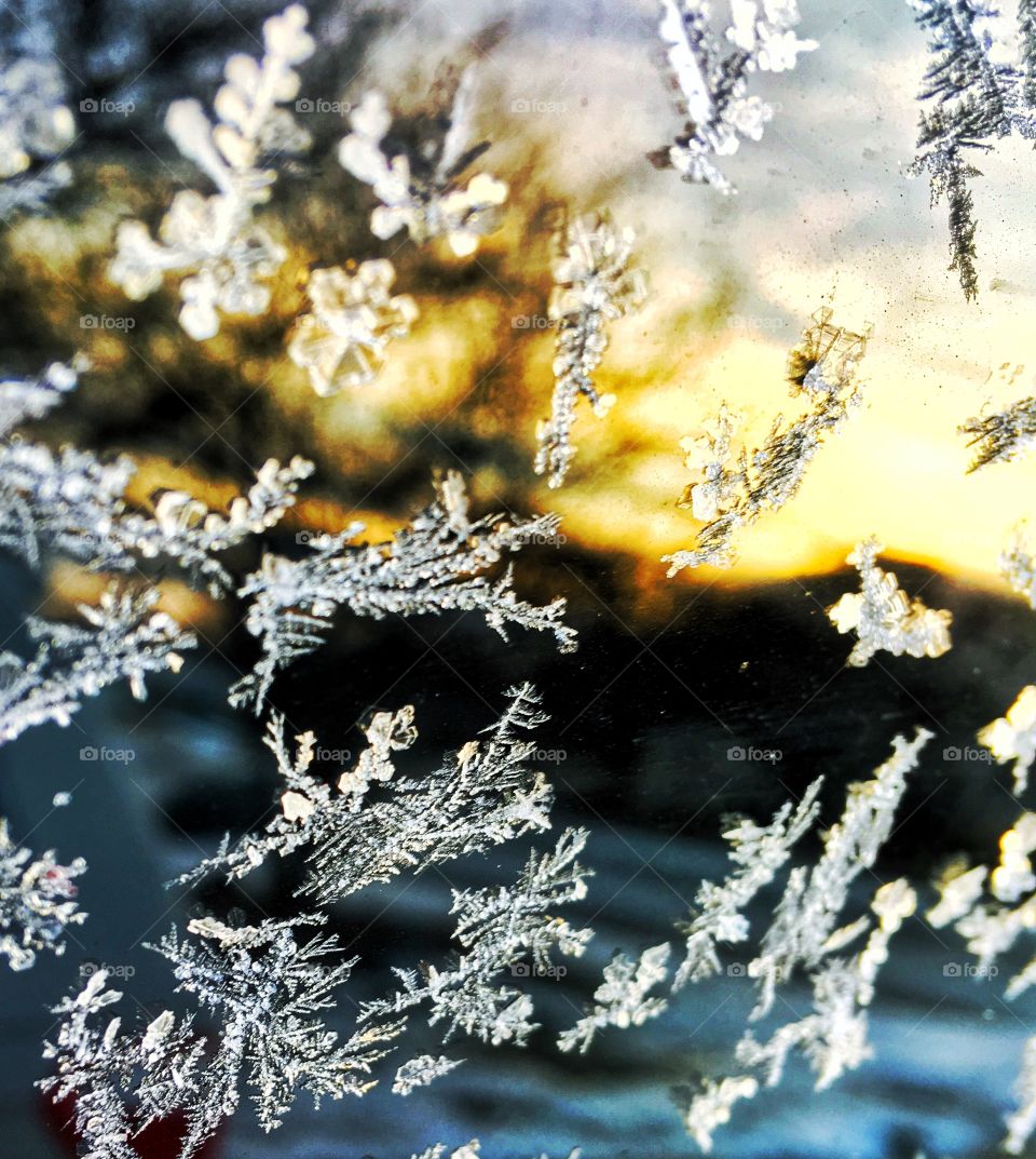 Morning sun reflecting off the frosted car window