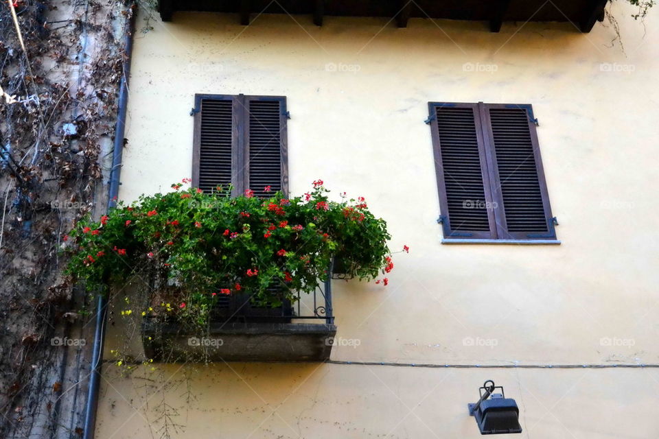 window, colored, facade, wall, outdoor, Rivoli, Italia , street,