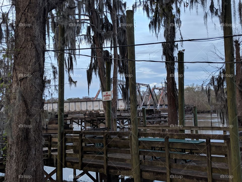 swamp dock