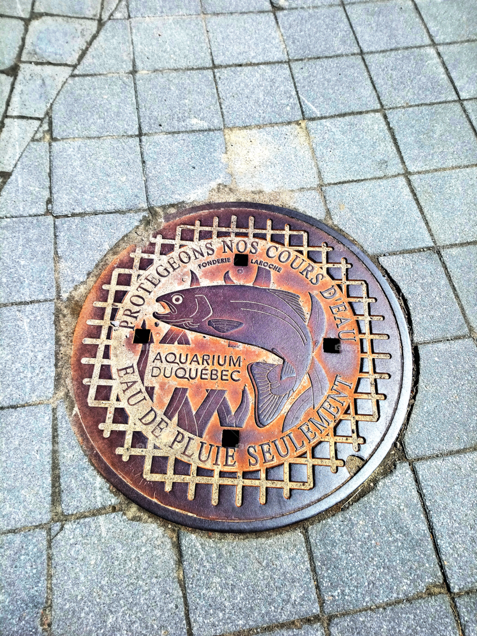 Quebec city's aquarium sewer plate