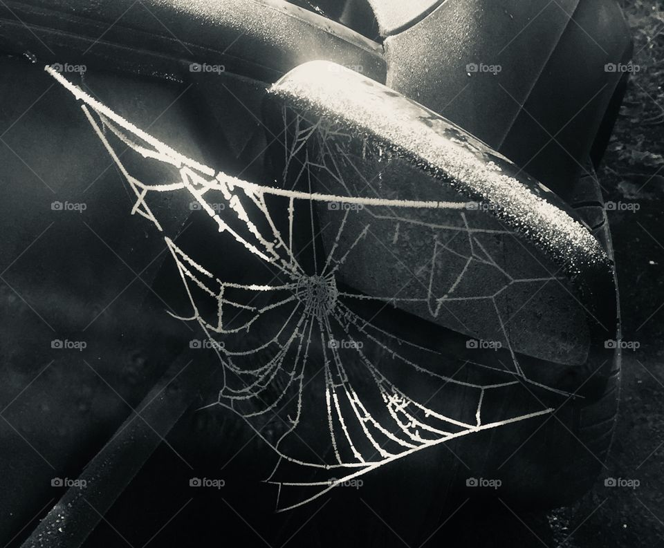 Frozen cobweb on wing mirror