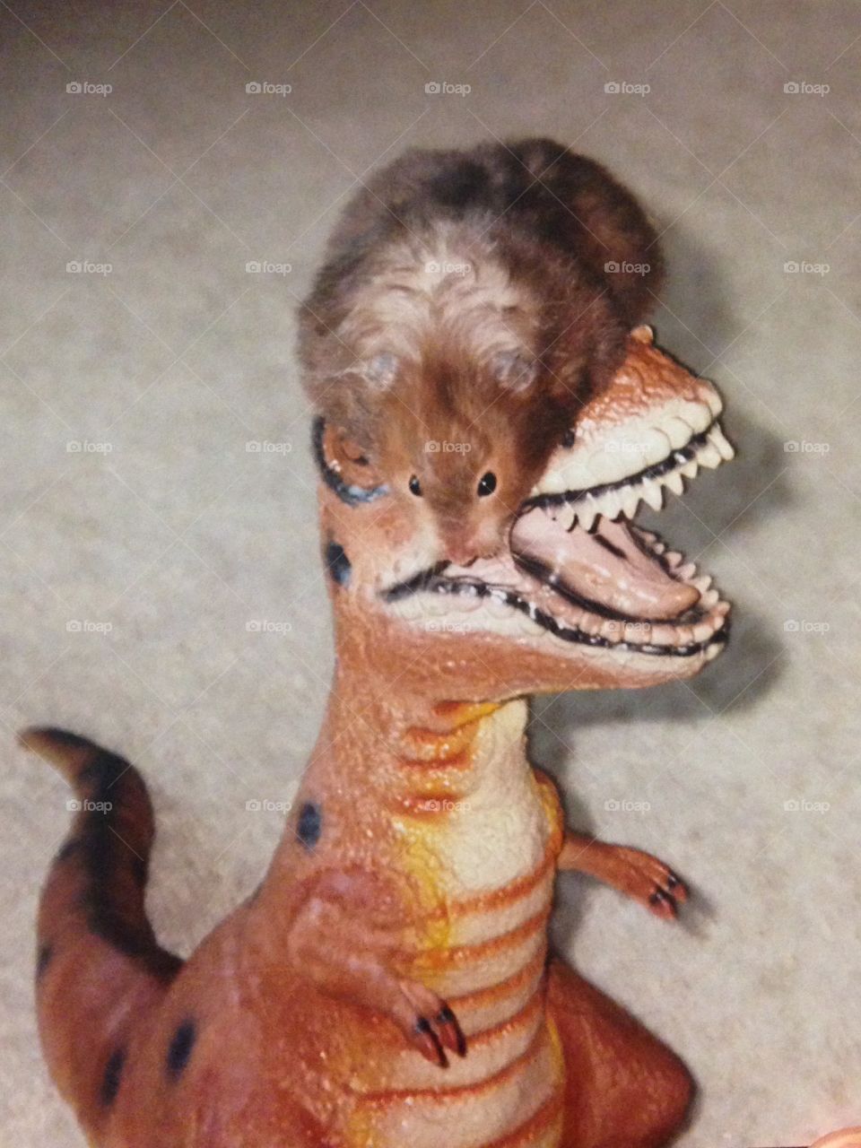 Emily on top of T. rex 