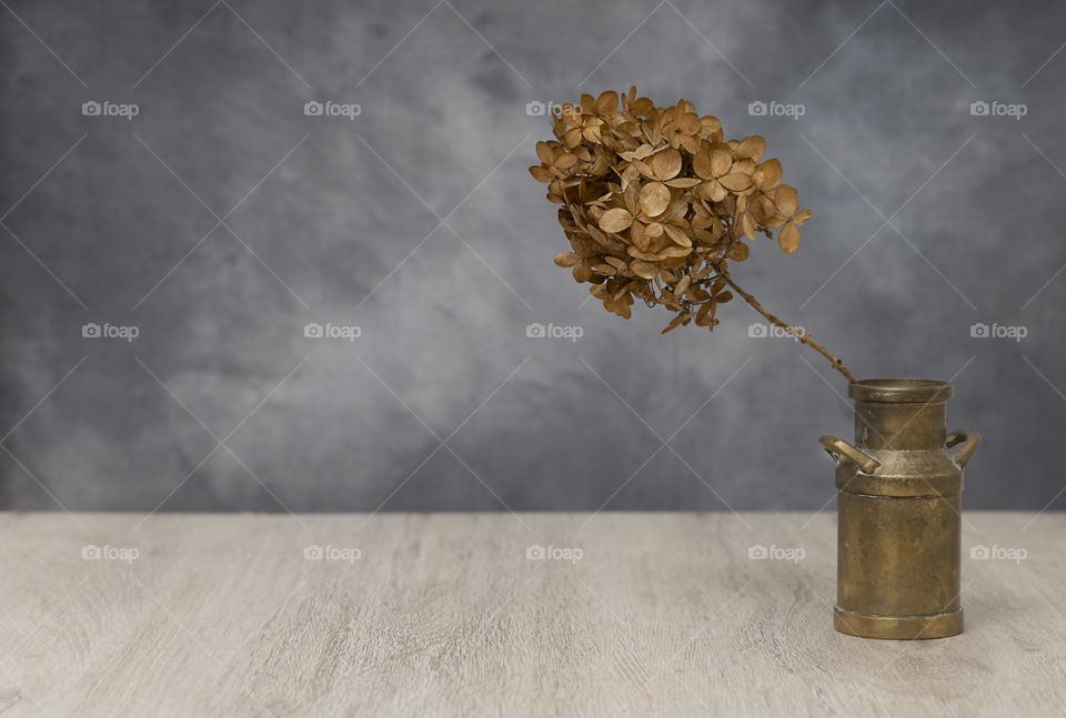 dry hydrangea in a copper can on a gray background