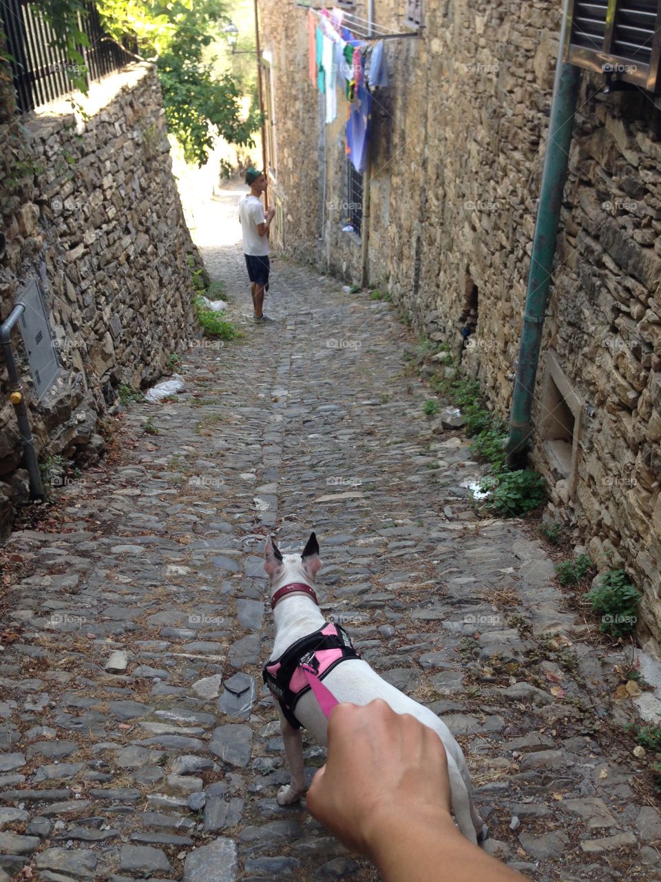 My dog follow me ever 
It's my love 