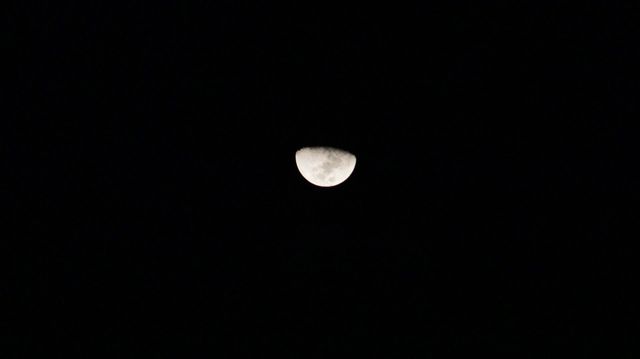 The Moon in the Dark Night