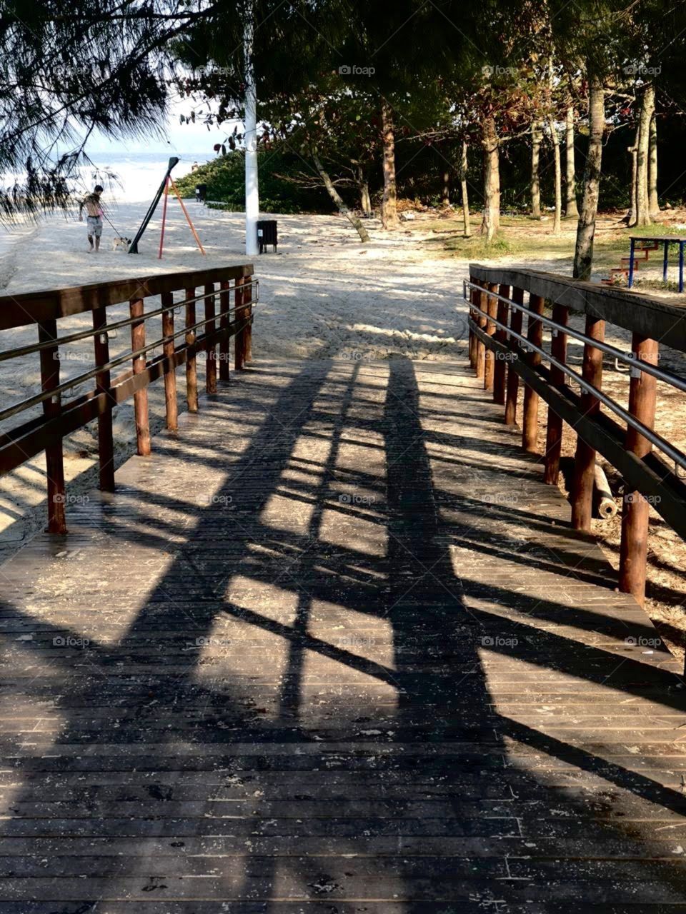 Paths that transmit peace.