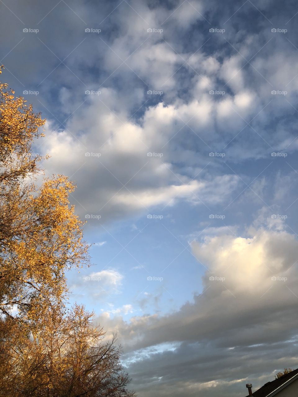 A cool gloomy beautiful morning sky