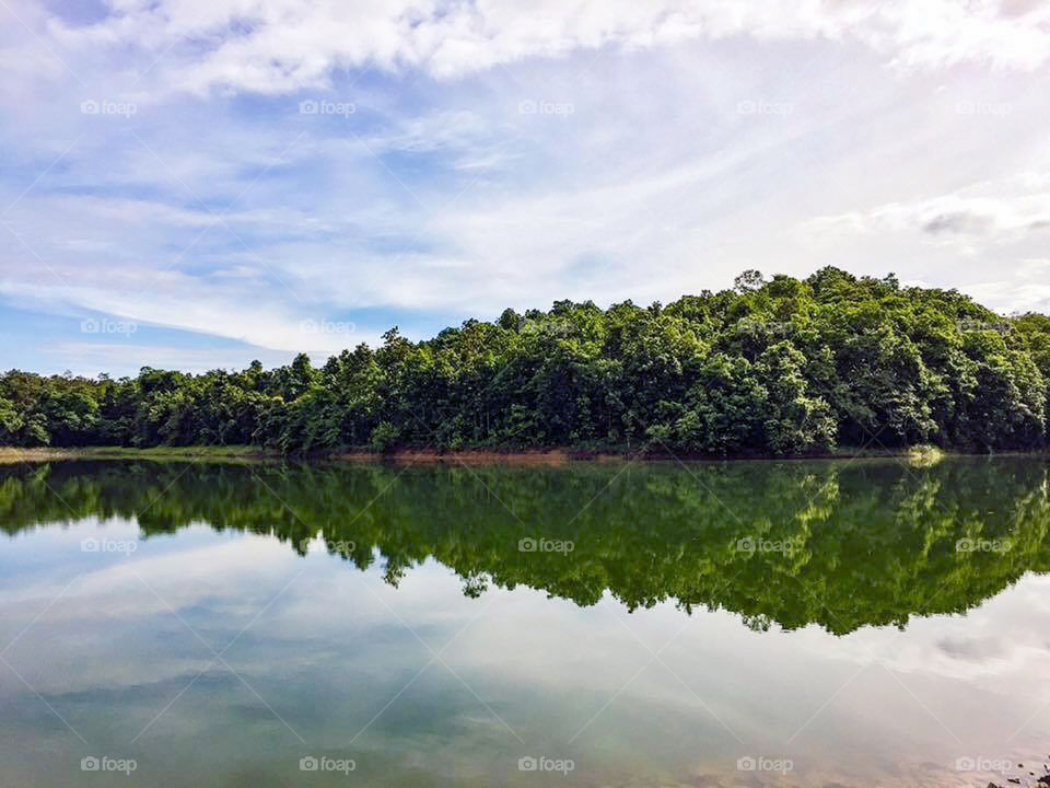 What an amazing reflection!