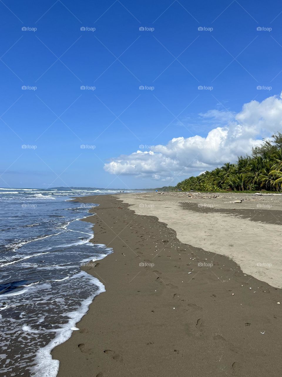 Bicolour sand beach and ocean 