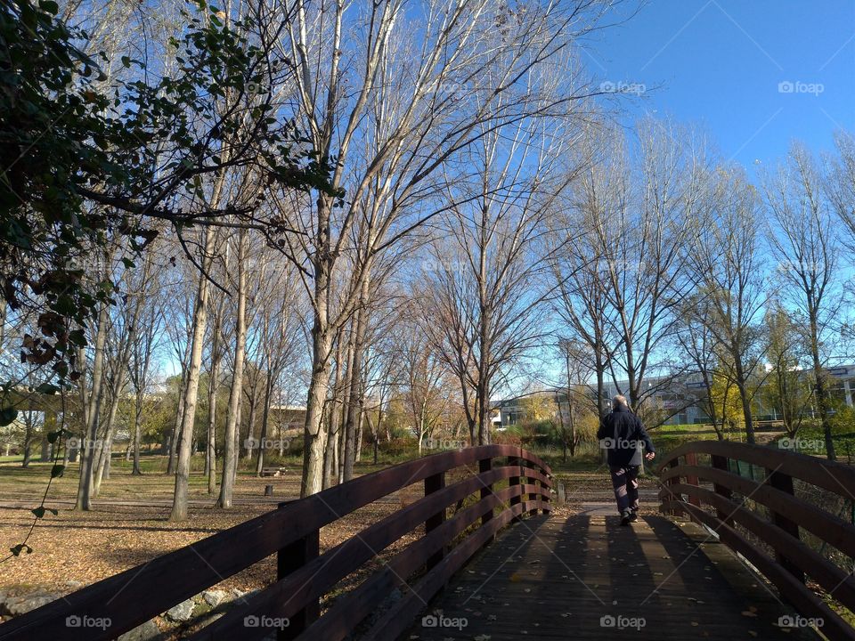 Hombre caminando por un puente en un parque