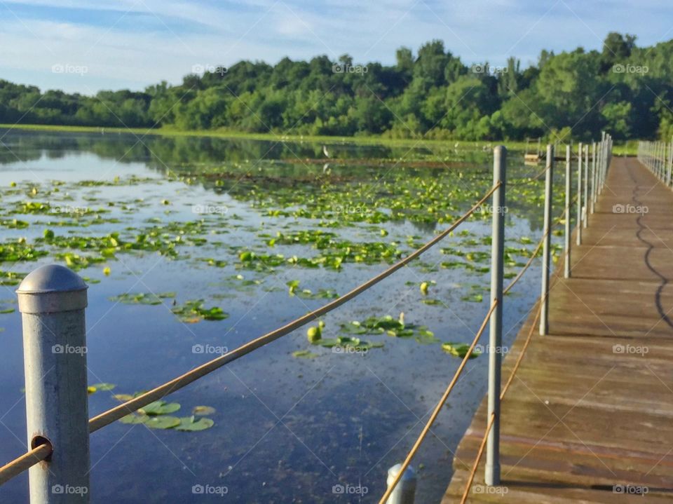 bridge,river,water,sky