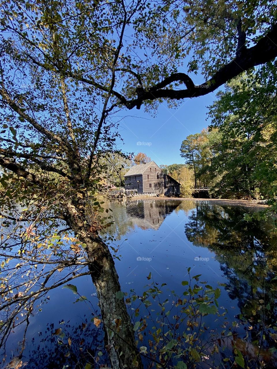 View of water mill through the trees, reflections 