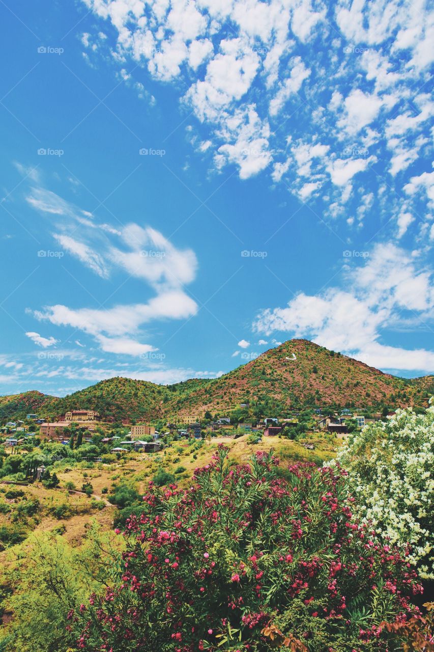 Flowery Mountain View in Jerome, Arizona