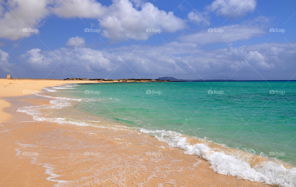 Wave at beach in Canary island