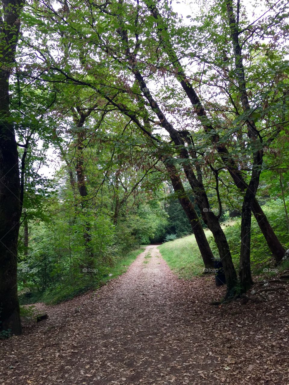 Bois Vidal Aix Les Bains 2